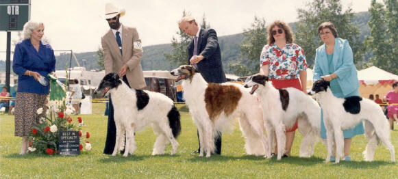 Borzoi - Dam & Progeny